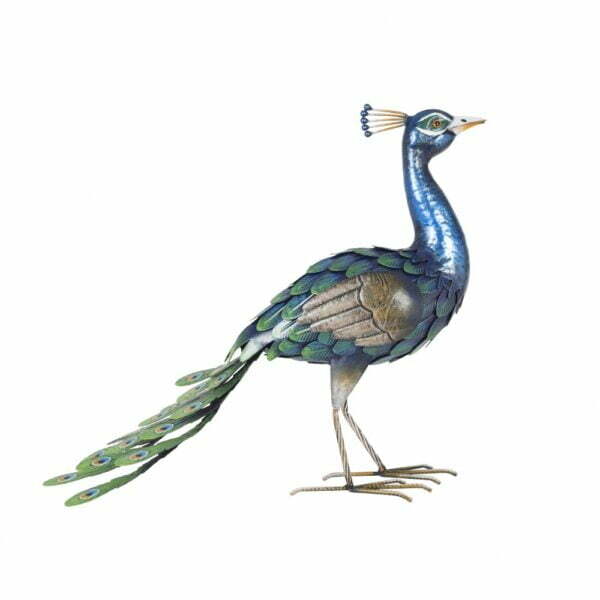 Peacock | La Hacienda
